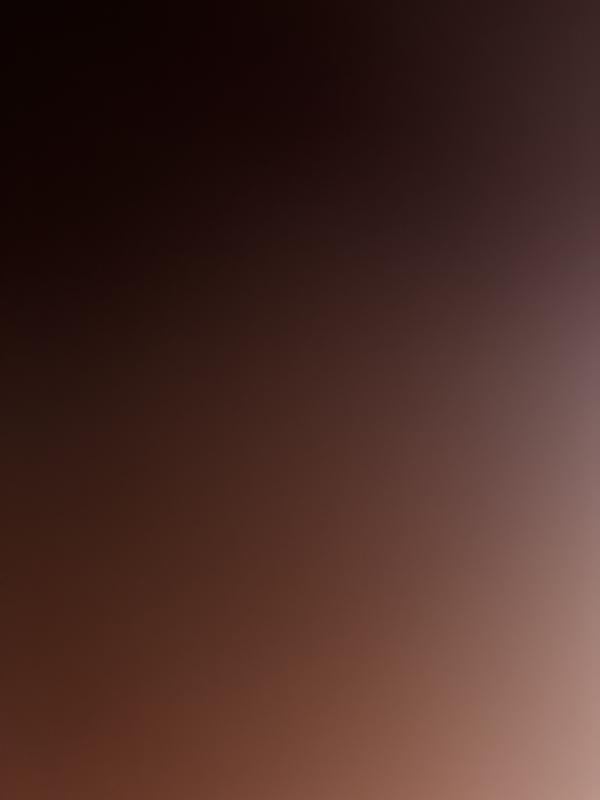 Blank picture because I never received anything