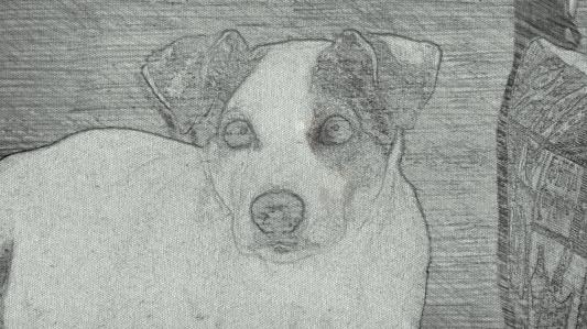 Jake