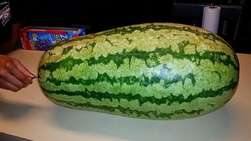 biggest watermelon