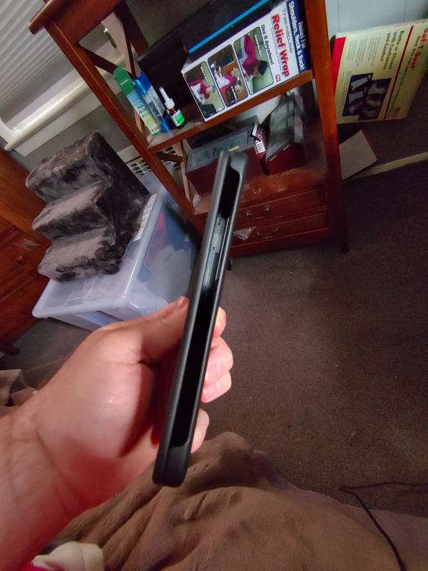 Dual screen case