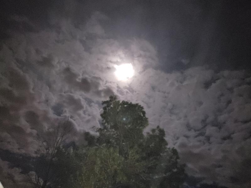 First Moon pic with the S9+ Yeaaaaaa baby