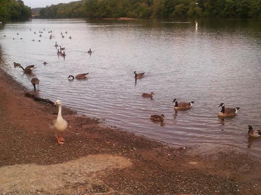 Riverview..