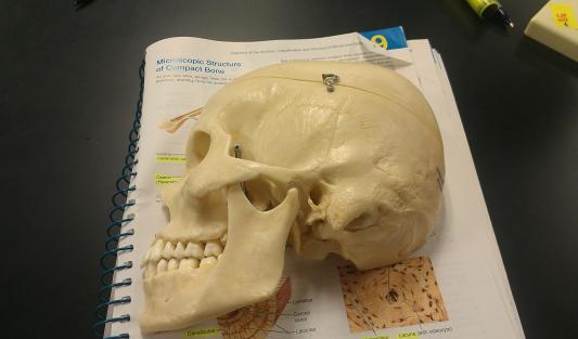 Review photo 1.