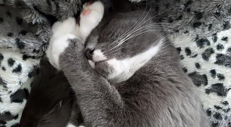 Camera takes perfect pics of my baby