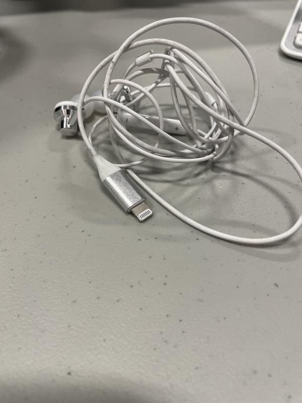 The lightning connection and the ear buds