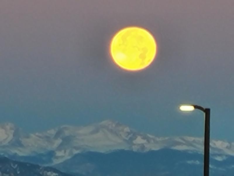 Colorado nature