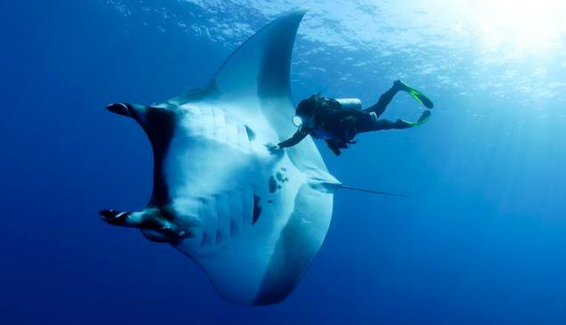 My son took this pic with my new phone off BoraBora. Awesome!