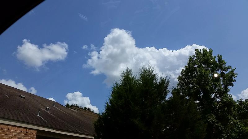 pretty day