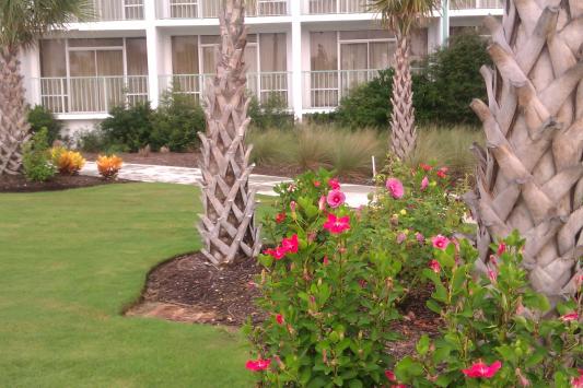 at myrtlye beach South Carolina