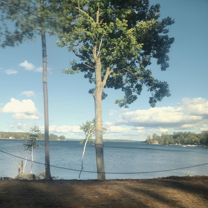 These are the lake taken while moving.