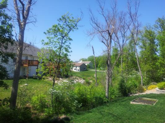 Pretty good camera and I actually scratched my lense on accident :/ keys in my pocket