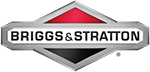 Briggs & Stratton Team