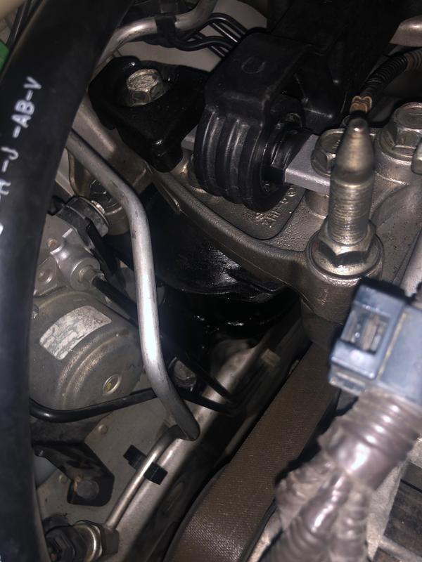 Customer review image