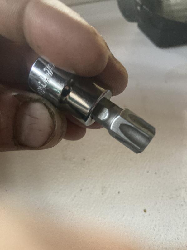 Duralast 3/8in Drive T-55 Torx Bit