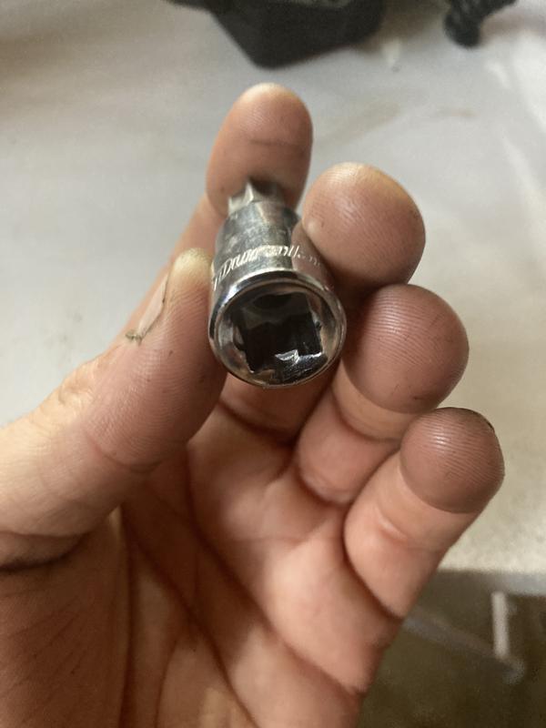 Duralast 3/8in Drive T-55 Torx Bit
