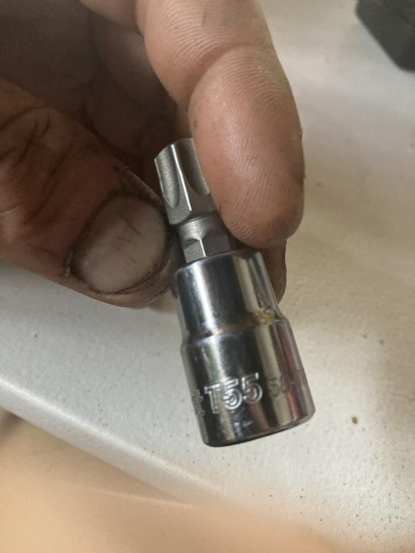 Duralast 3/8in Drive T-55 Torx Bit