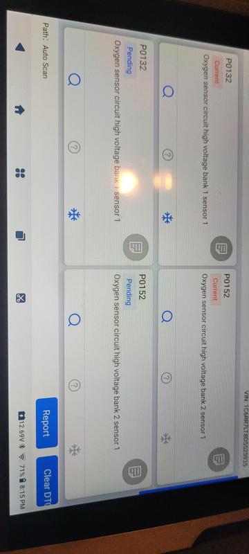 Customer review image