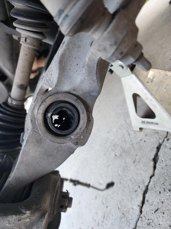 Duralast Suspension Strut and Coil Spring Assembly LS33-81021B