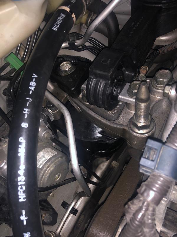 Customer review image