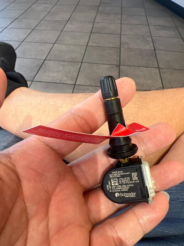 Customer review image