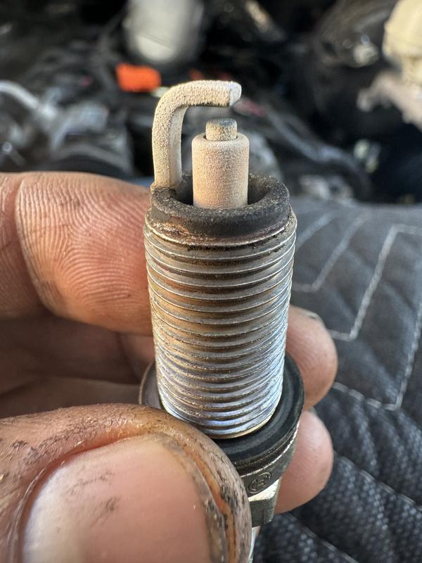 Top off and now the coils