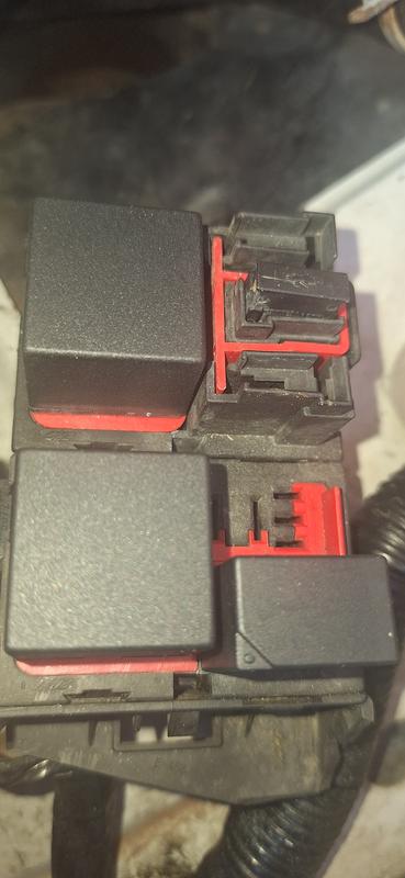 Review Image4