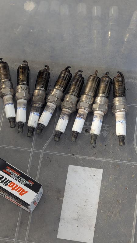 Autolite Double Double Platinum Spark Plug APP6043