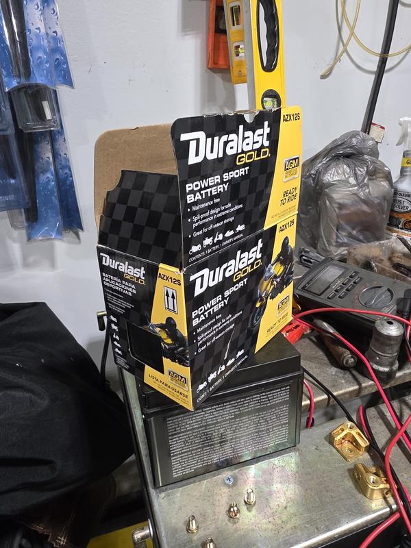 Duralast Gold Powersport Absorbed Glass Mat (AGM) Battery AZX12S