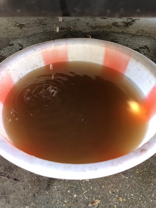 BlueDevil Radiator Flush and Degreaser