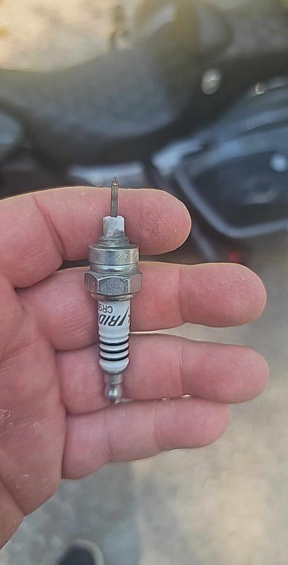 NGK Iridium IX Spark Plug 3521