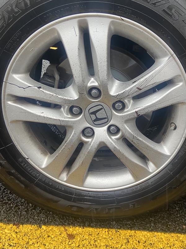 Turtle Wax Bug and Tar Remover Spray 16oz Reviews