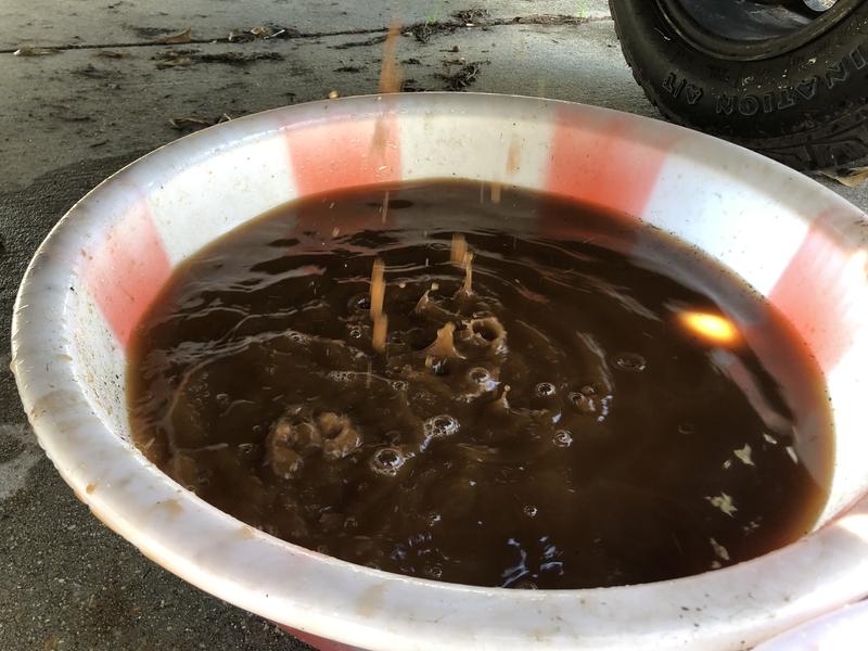 BlueDevil Radiator Flush and Degreaser