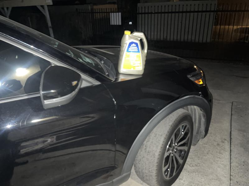 Customer review image