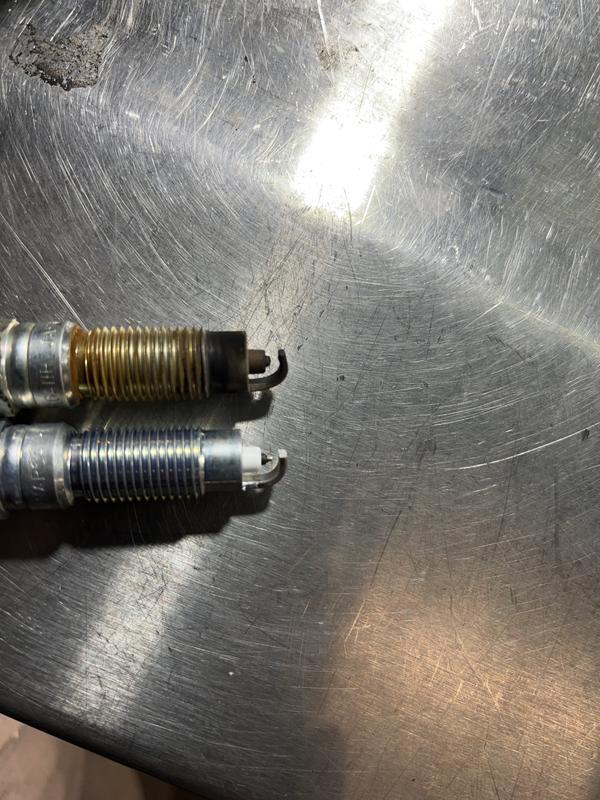 Motorcraft Double Platinum Spark Plug SP-509-X | AutoZone