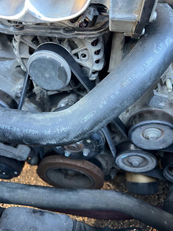 ビタレバン　6本　⑥ Motorcraft Serpentine Belt 6 Rib 88-7/16 Inch JK6884HA | O