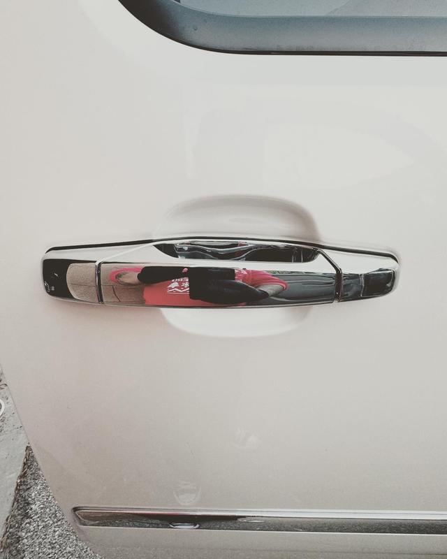 Dorman Exterior Door Handle 80547