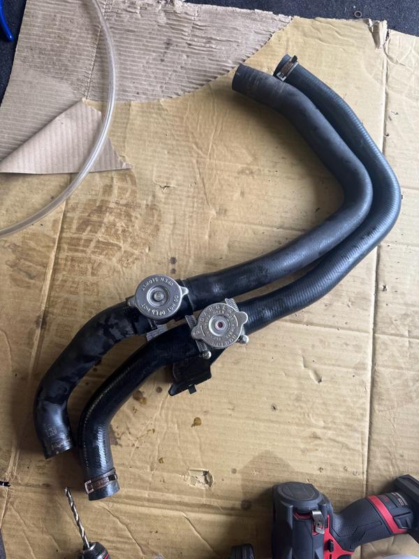 Rio。 Duralast Radiator Coolant Hose E72628