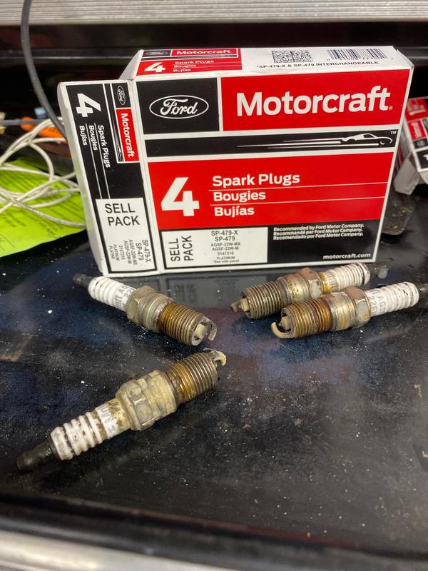 Motorcraft Platinum Spark Plug SP-479-X