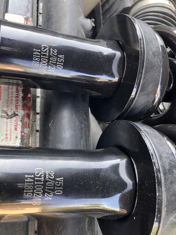 ステーシ ラブラット 6.0 LIZARD Super Hike Sandal