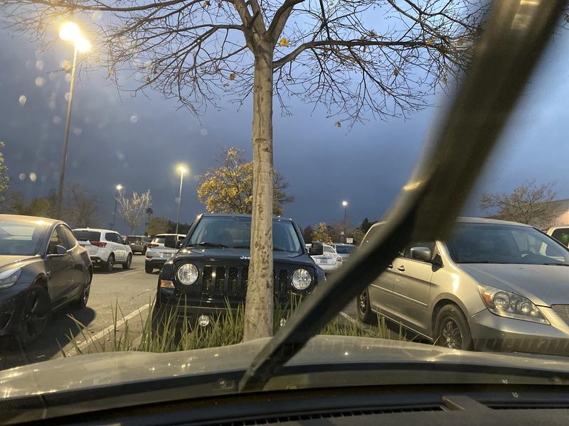 Customer review image