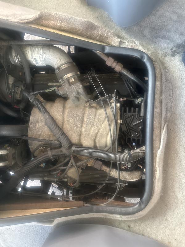 I live by this product