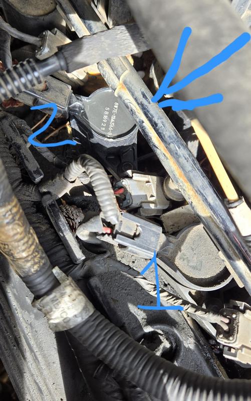 MOTORCRAFT DG508 Bobina Di Accensione | Ricambio Originale, Resistente, Per Auto