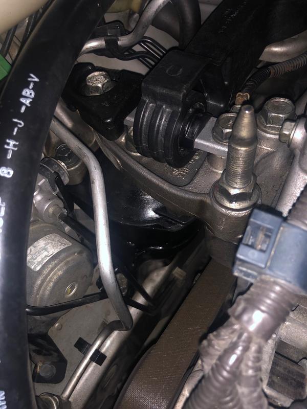 Customer review image