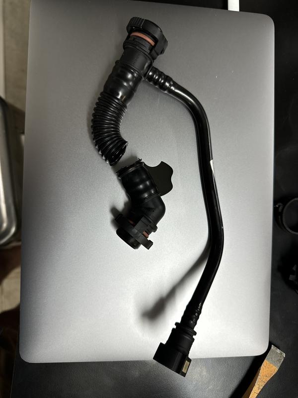 Customer review image
