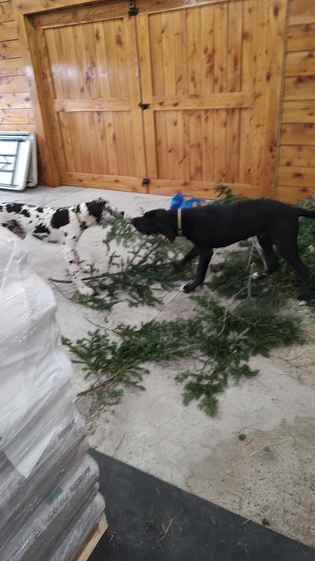 Battery used for a 1996 Tohatsu 90