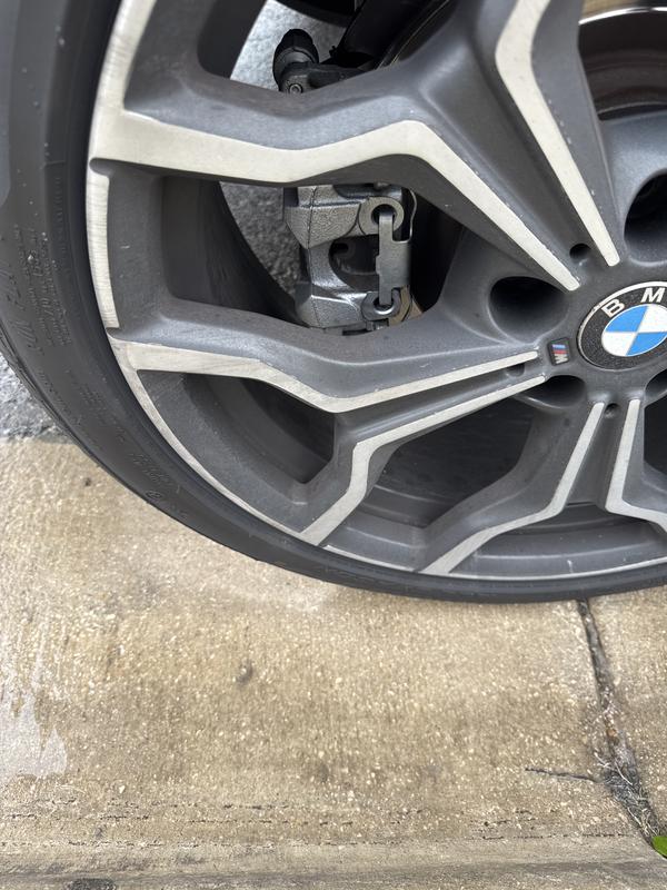 Customer review image