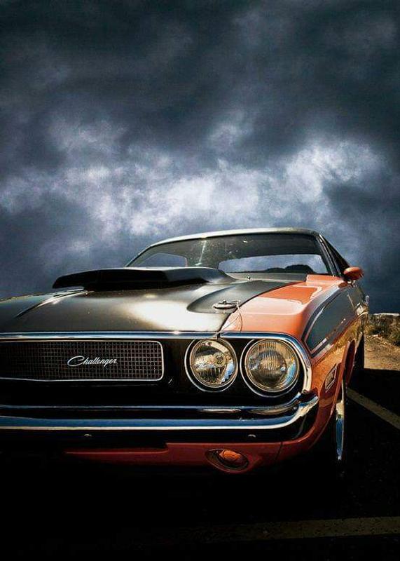 Heet GasLine Antifreeze & Water Remover 12oz Reviews