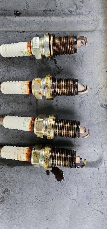 CiC P 03-016b ケンカするほど ZX C-PL N | ケンコー・トキナー CiC P