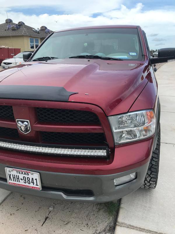 autozone bug shield