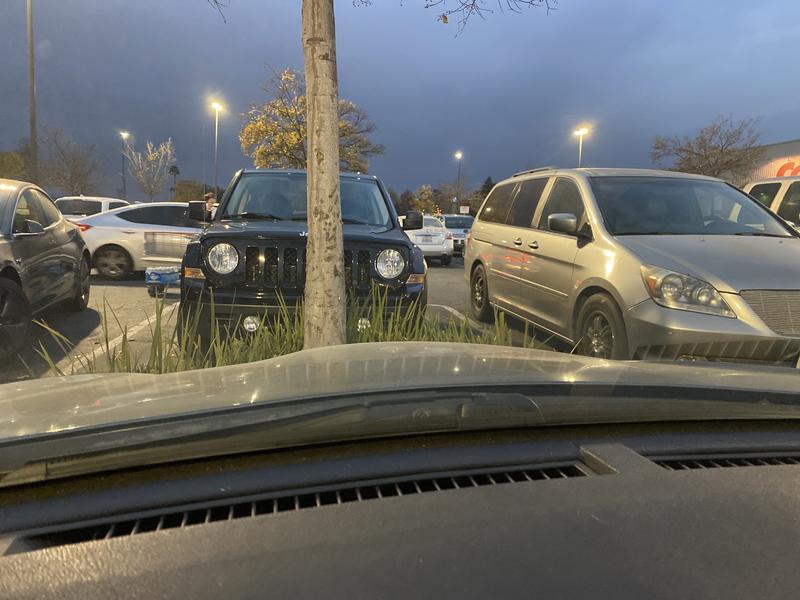Customer review image